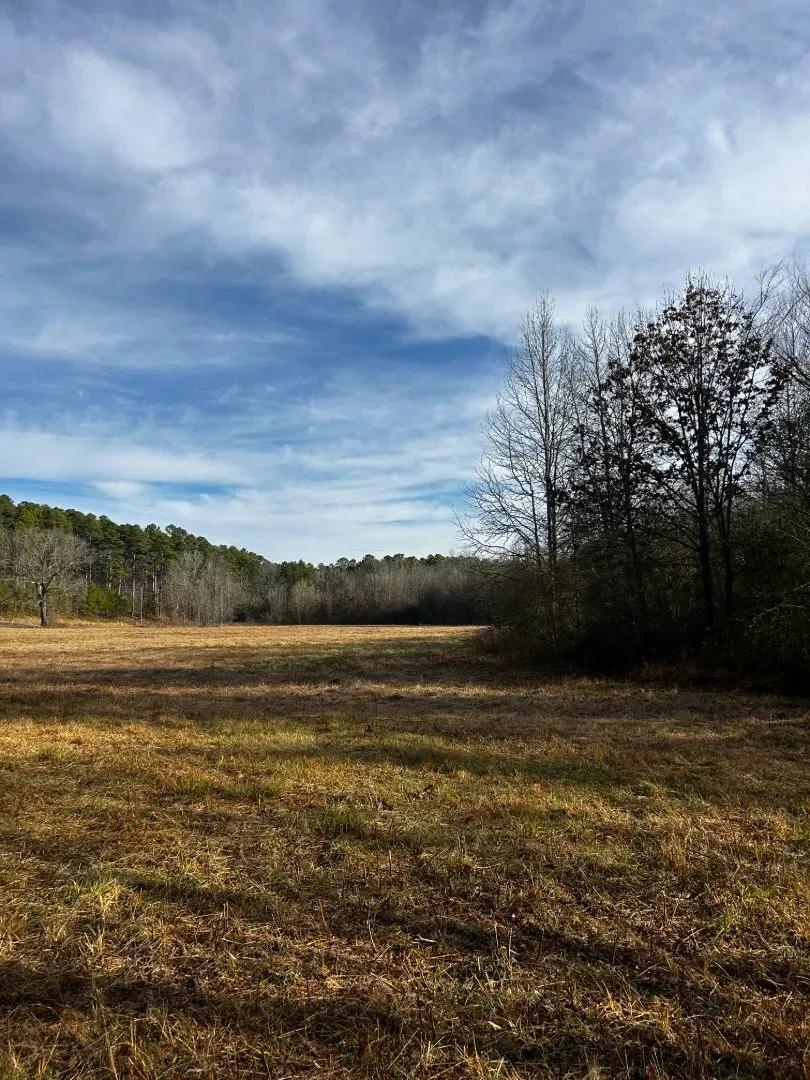 16.37 Acres [Tract 1] in Montgomery County, AR 