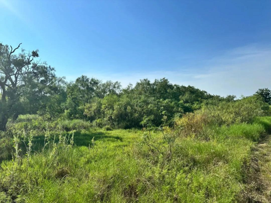 8 Acres McCulloch County