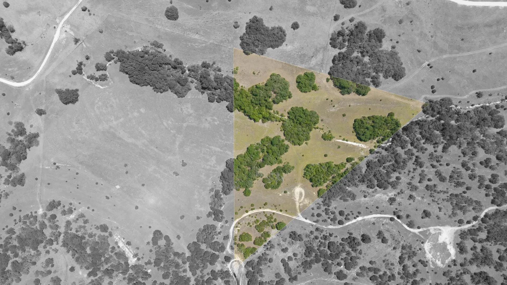 67958614-11