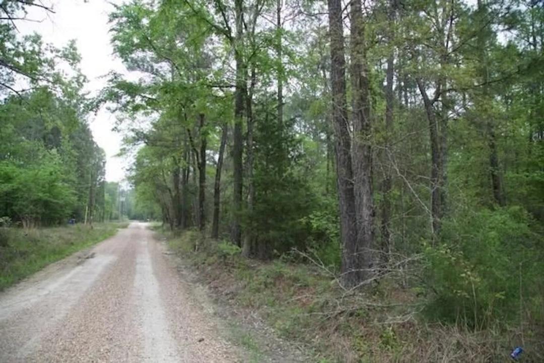 258 Hearne Rd Corrigan, TX 75939