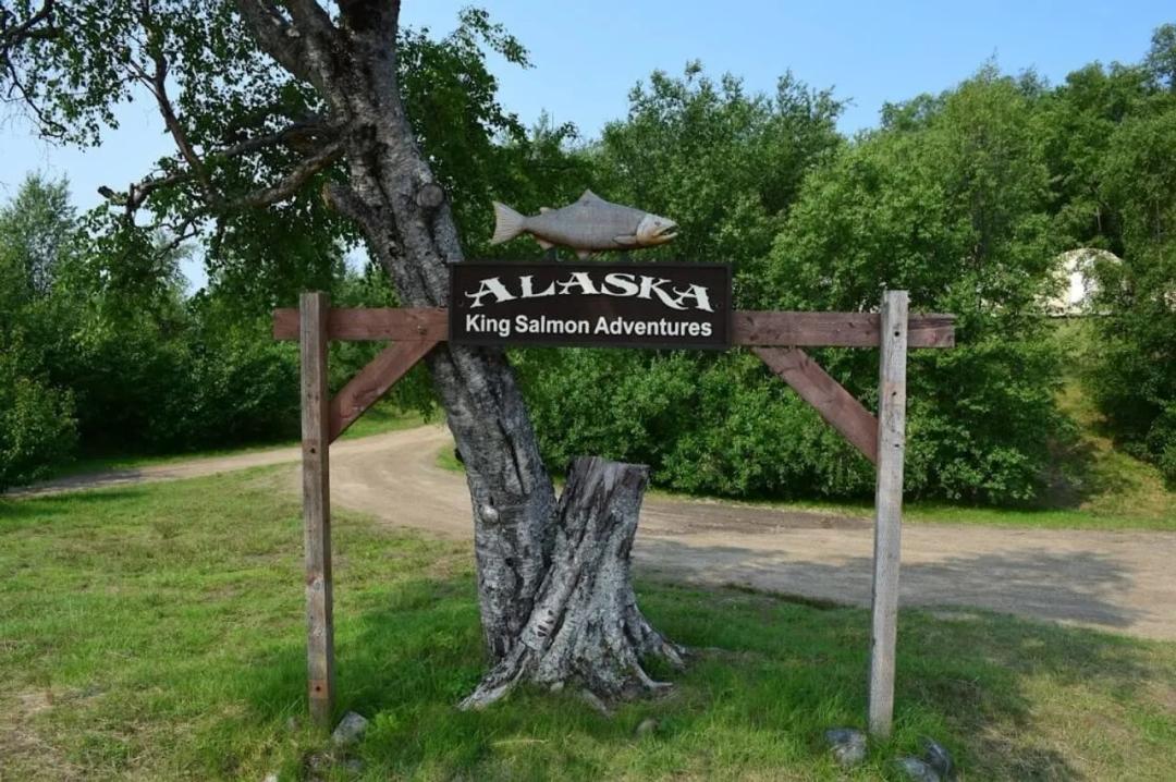 Alaska King Salmon Adventures