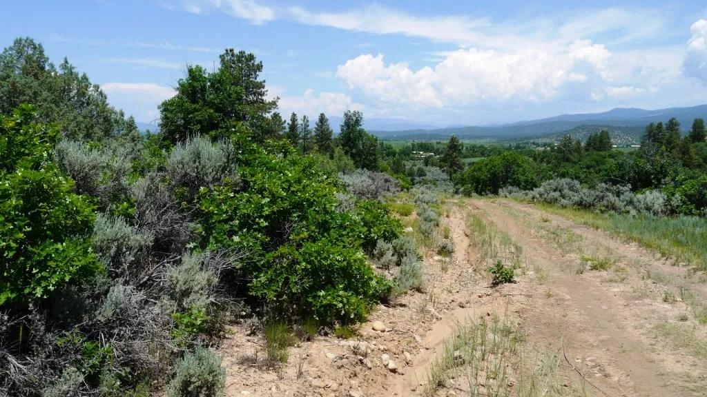 Northern New Mexico Tierra Amarilla - Trees - Off the beaten path - Undeveloped lot
