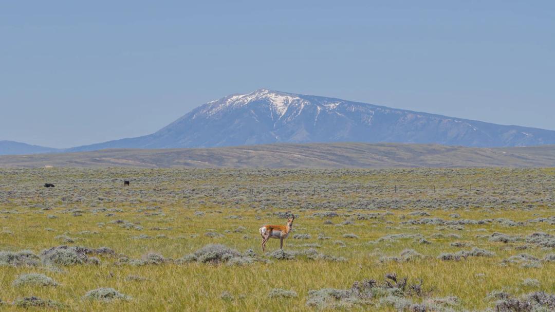 SKS Ranch