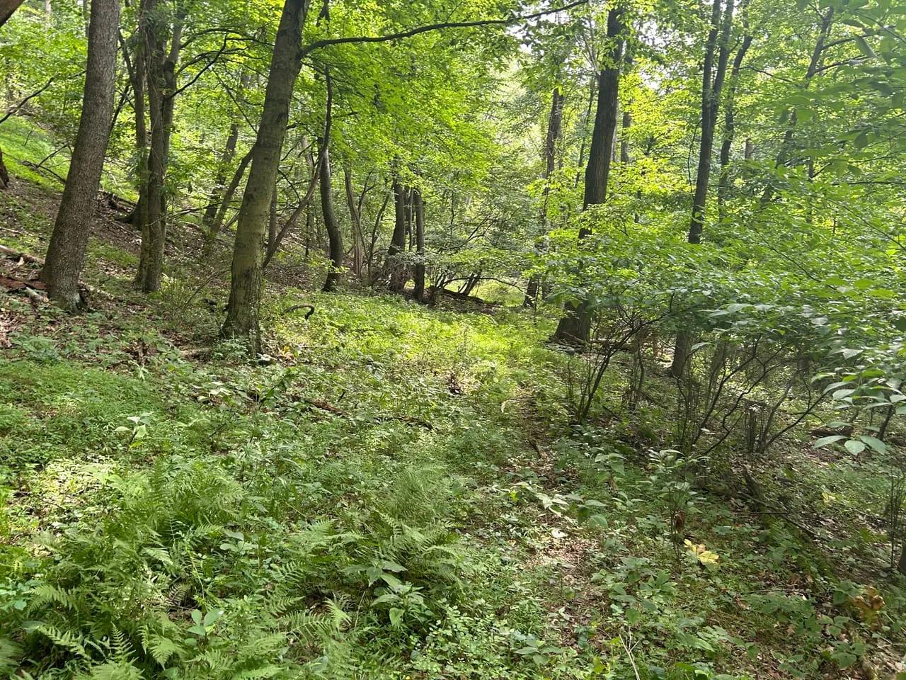68106688-8
