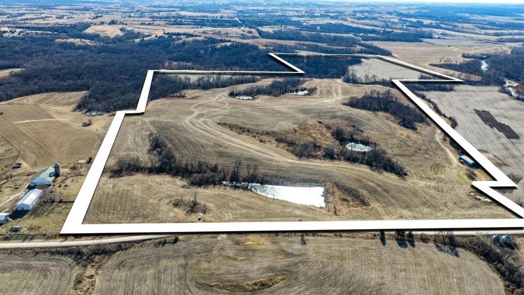 Ringgold County IA Land for Sale | Tract 7: 152.52± Tillable
