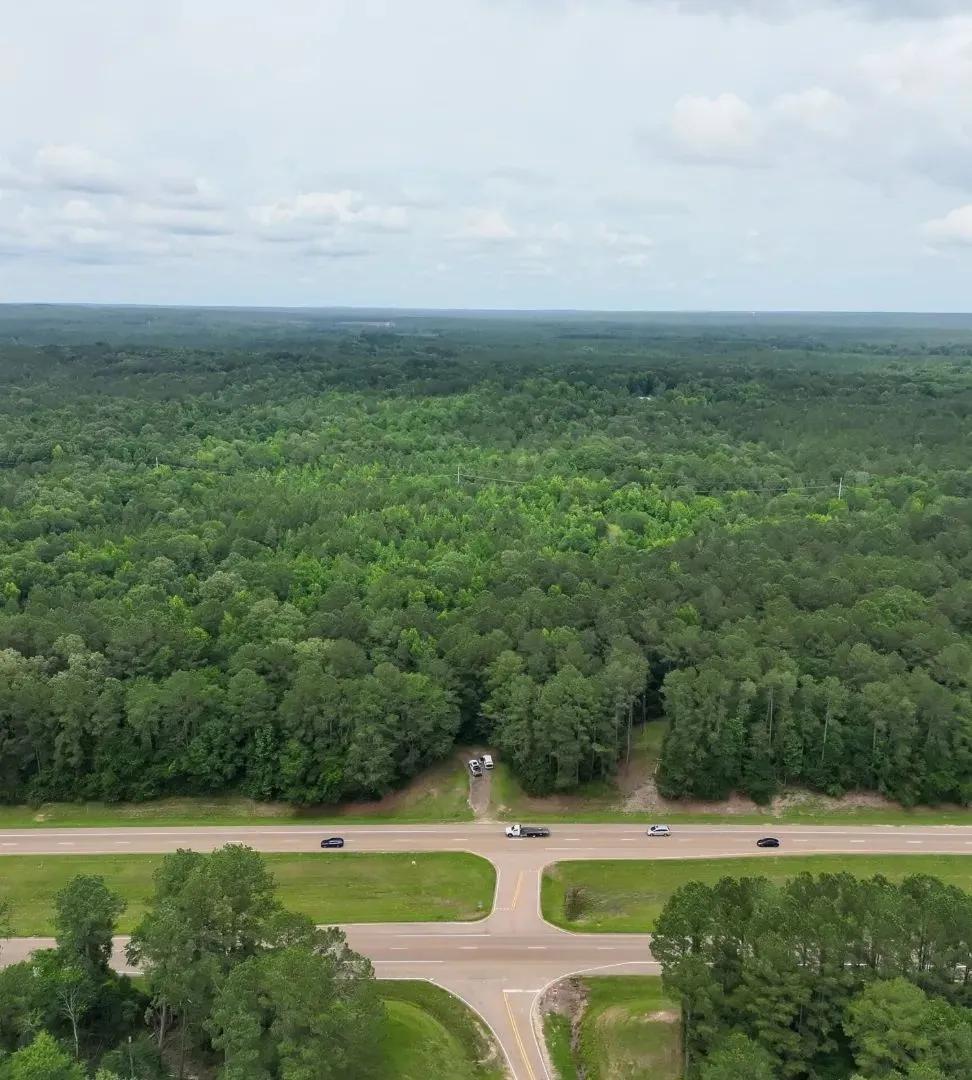 15.1 Acres in Simpson County in Braxton, MS