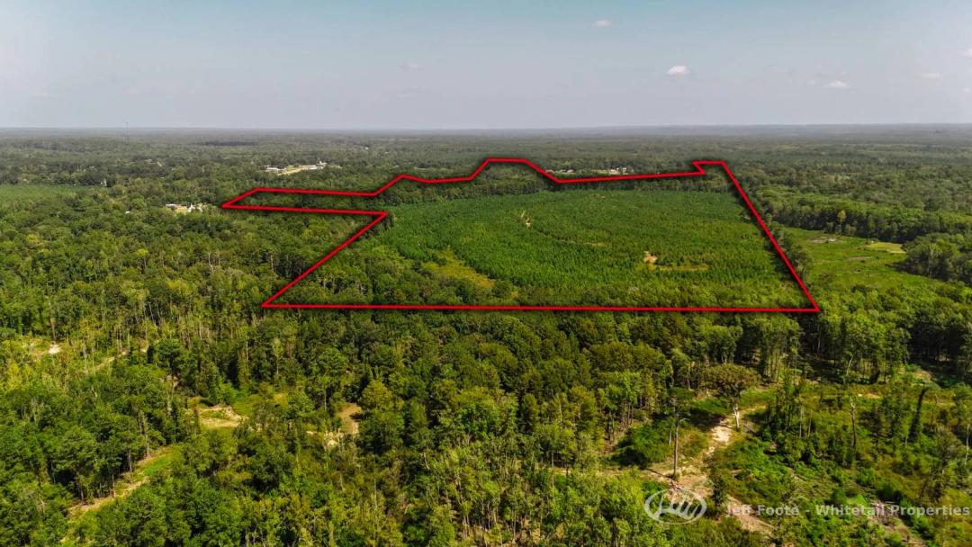 110± Acre Hunting And Timber Tract Near Pearl River