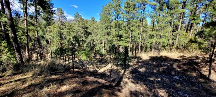 2 adjoining parcels in Timberon. Big Trees on cul-de-sac.