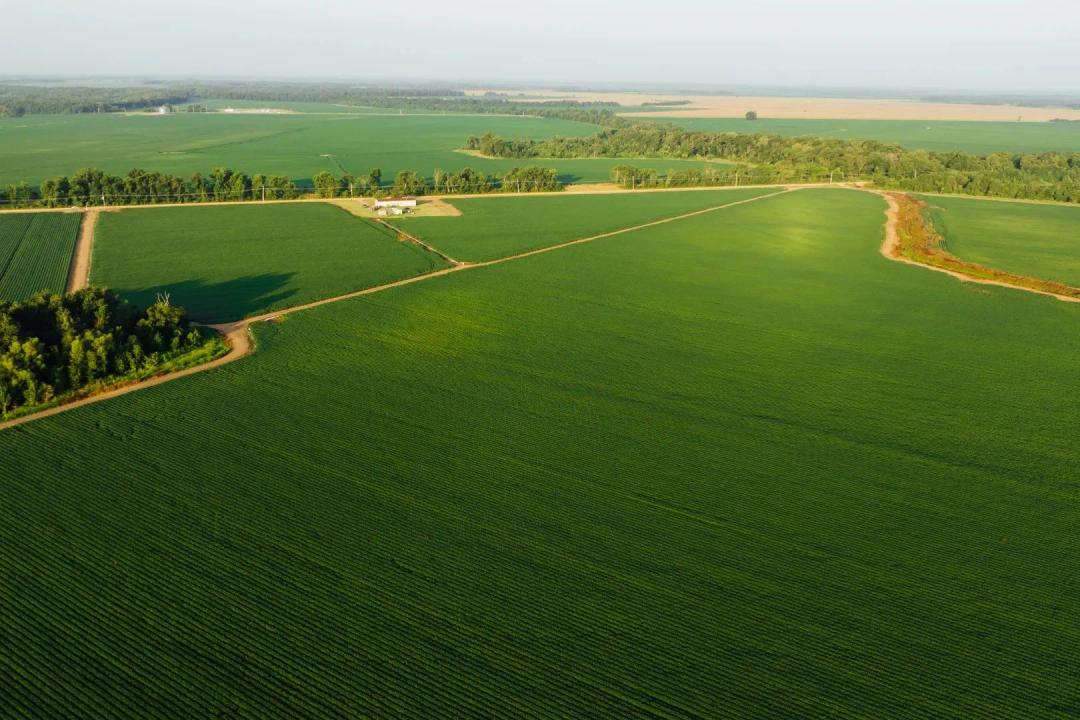 447.48 Acres in Tallahatchie County, MS 