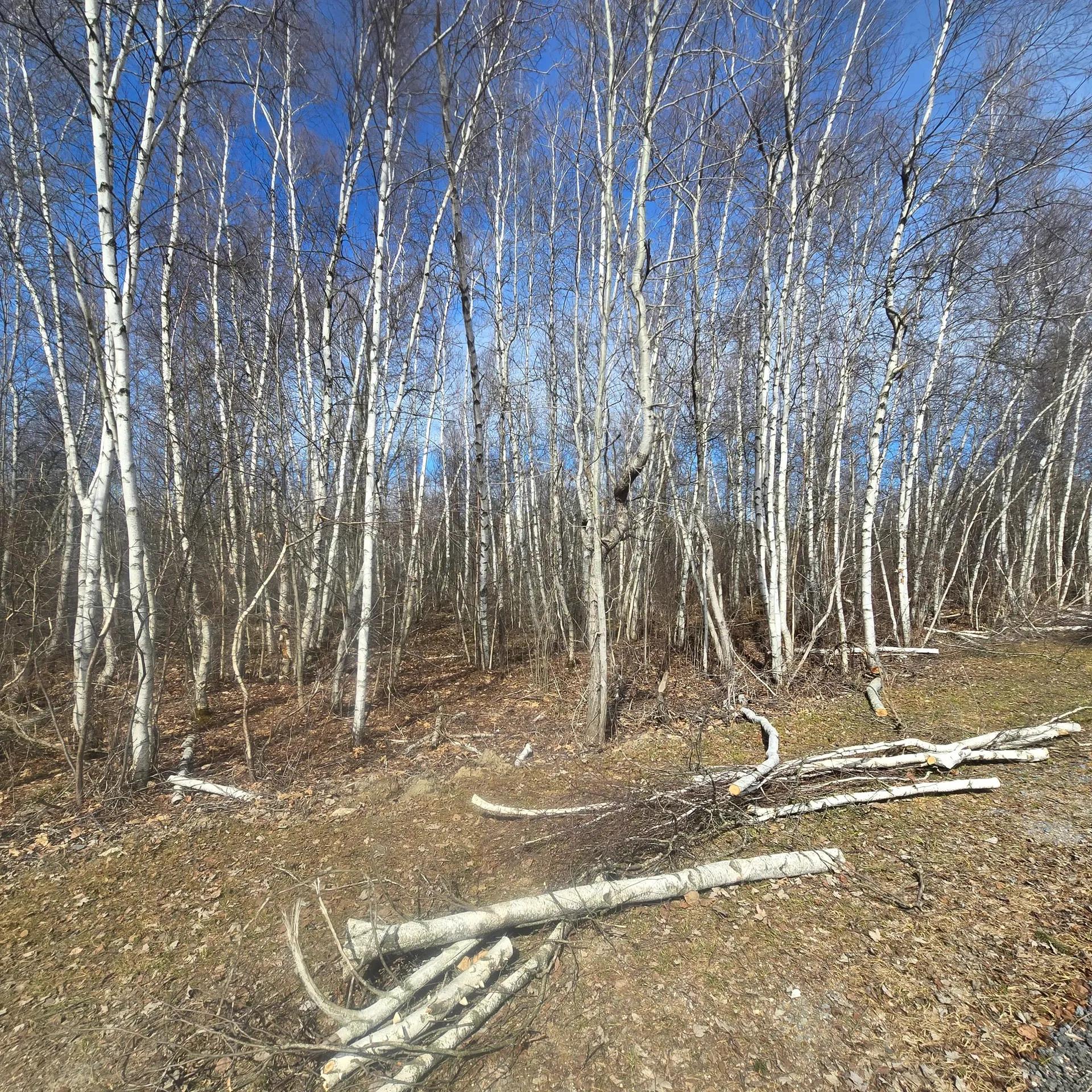 68228170-7