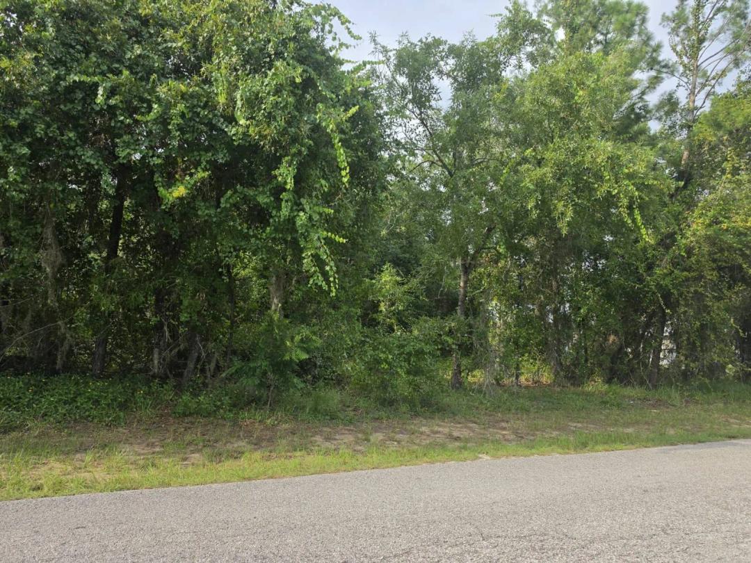 Nearly One Acre in Presidential Estates with No HOA or CDD!