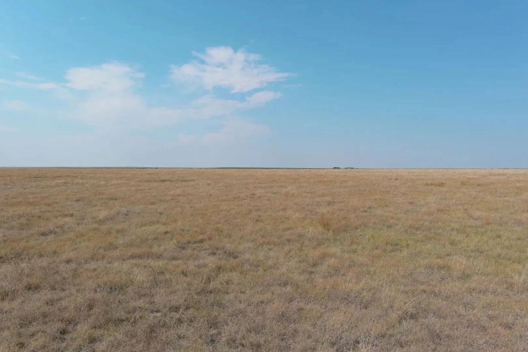 CRP For Sale Parcel #1