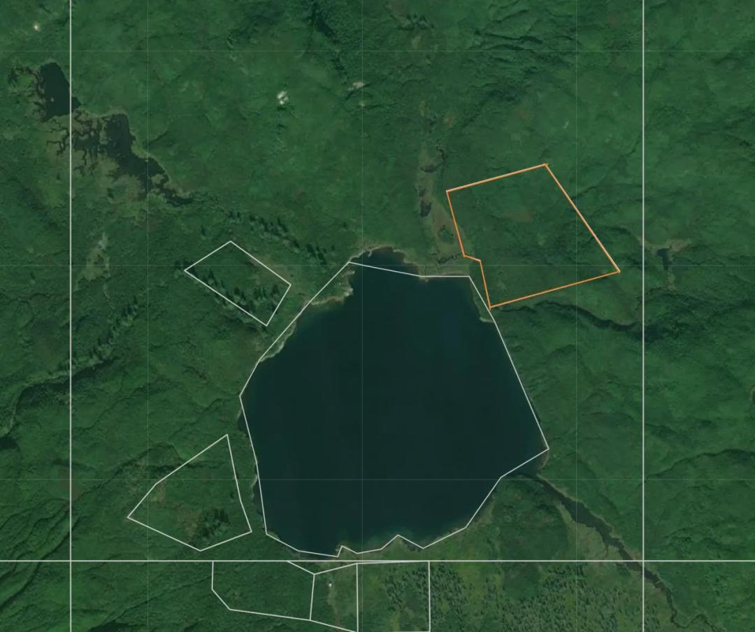 Alaskan Wilderness - Grizzly Country (I assume) - access by plane - Unnamed lake by property