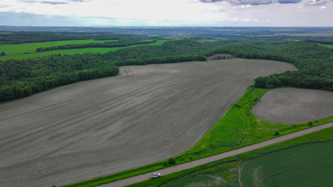 Cavalier County, ND Land Auction - 160± Acres