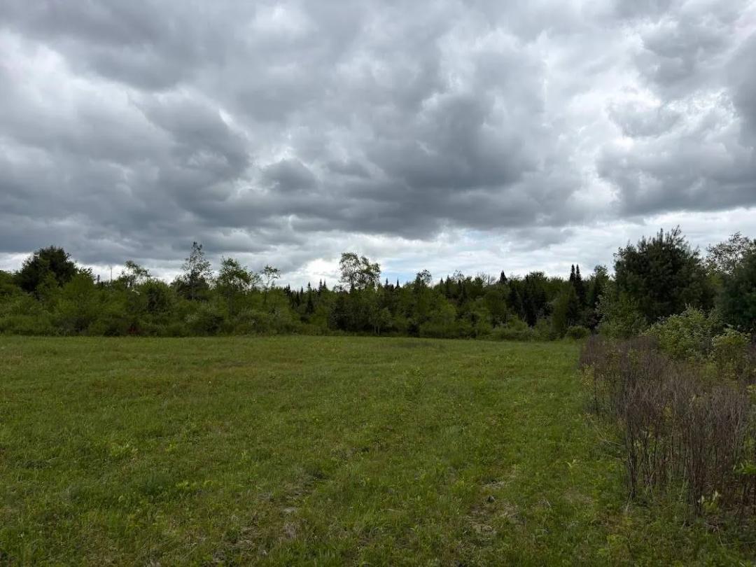 142 Acres of Adirondack Wilderness with Timber &amp; Wildlife!