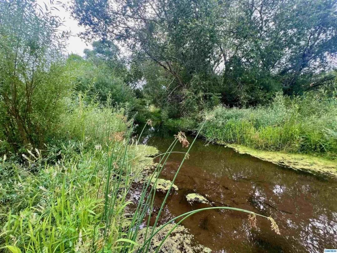 PENDING - Lake Roberts 6.26 Acre