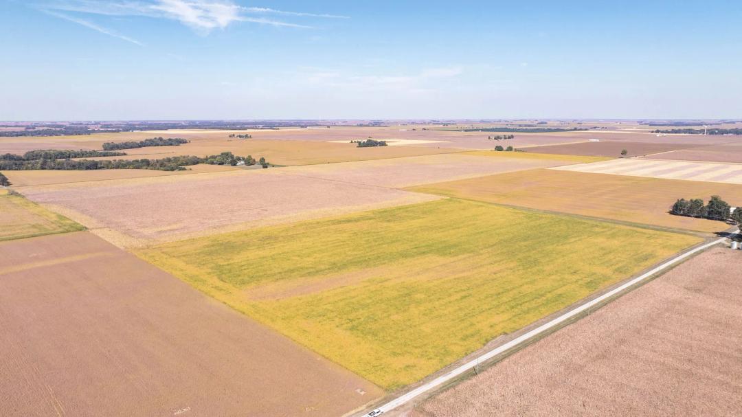 TBD Crawford Ave. Waggoner, IL