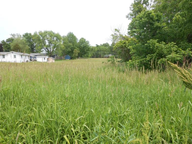.384-Acre Vacant Lot Near Clay &amp; 13th - Albany, MO