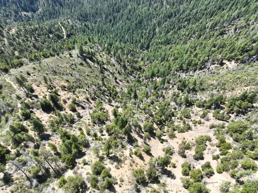 160 Acres Hyampom