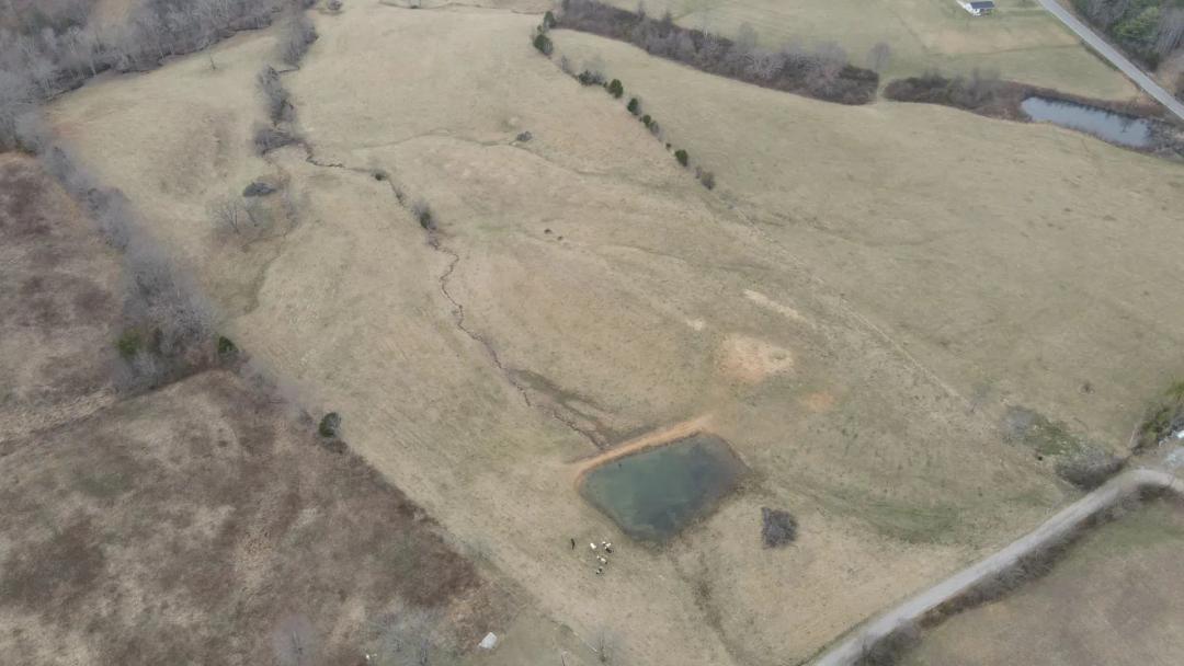 50 Acres in Bledsoe County, TN 