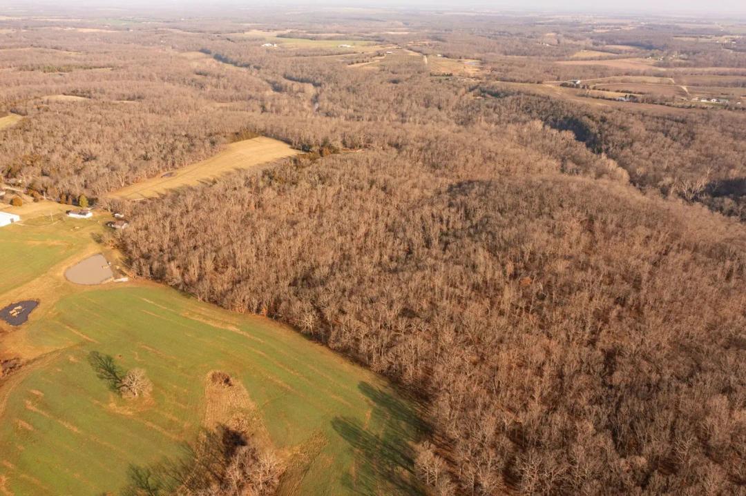 116.69±-Acre Retreat with Ridges, Trails, & Great Hunting – Lincoln County
