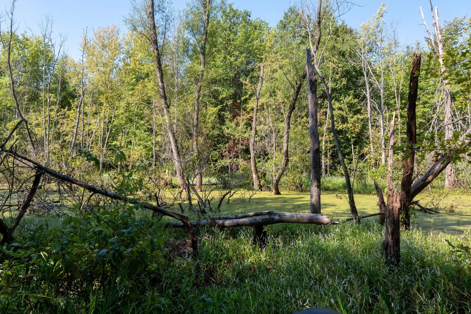 68381373-19