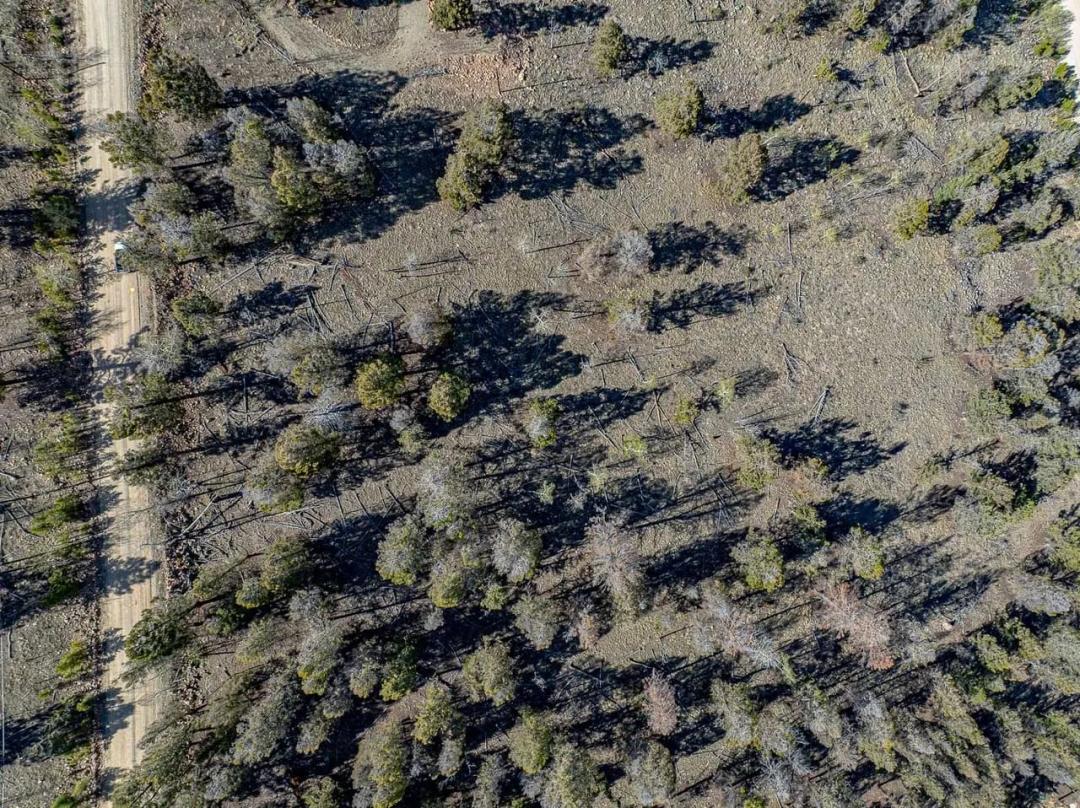 5302 Middle Fork Vista, Fairplay