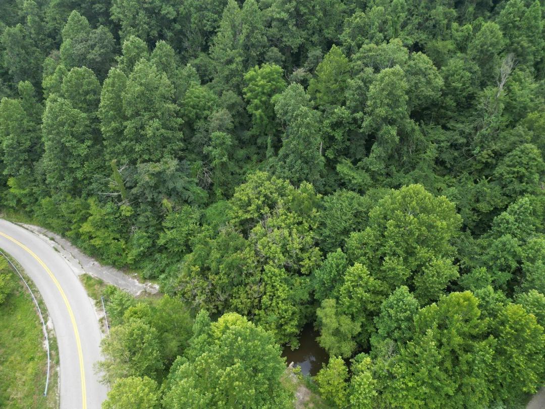 95 Surveyed Acres in Boone County