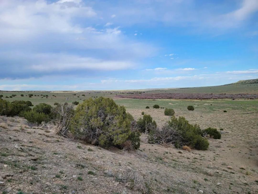 Lot 21 Ghost River Ranch 21, Walsenburg, CO 81089