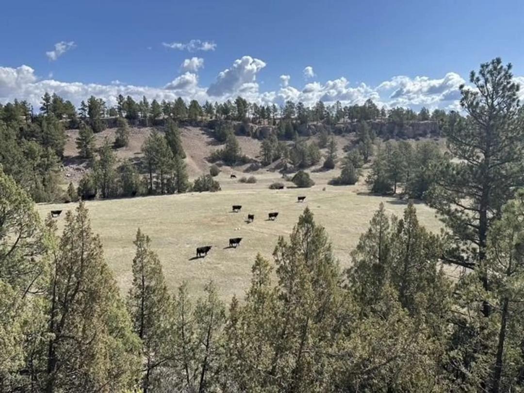 Custer County, SD 1470 Acre