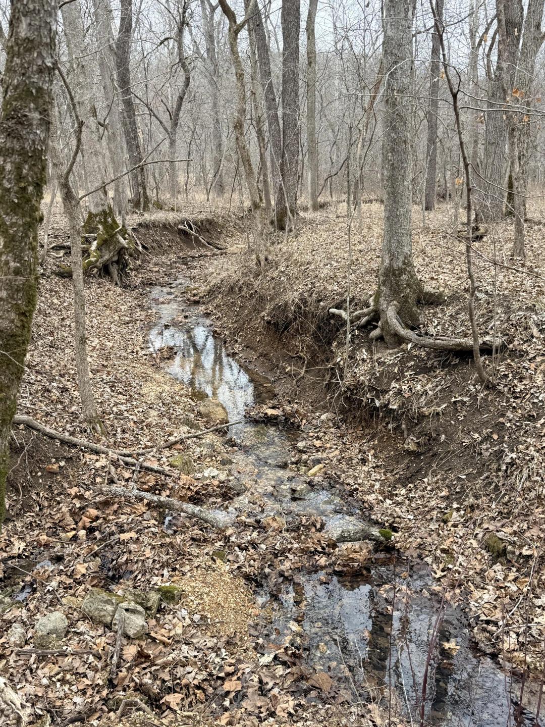 Morgan County 4.4 Acres with Nice Creek