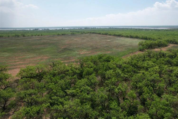 New Listing!! 37+/- Acres, Taylor County (Tract 2)