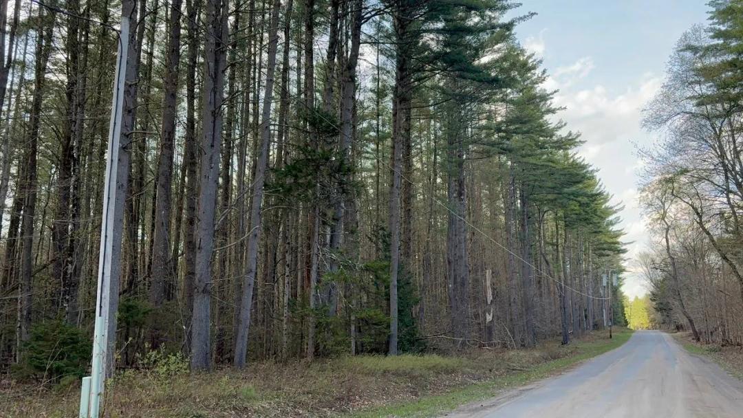 9.3 Wooded Acres - Corner Lot in the Adirondack Park!