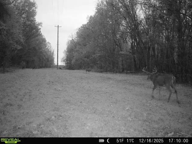 289 Acres with a Home in Humphreys County, MS 