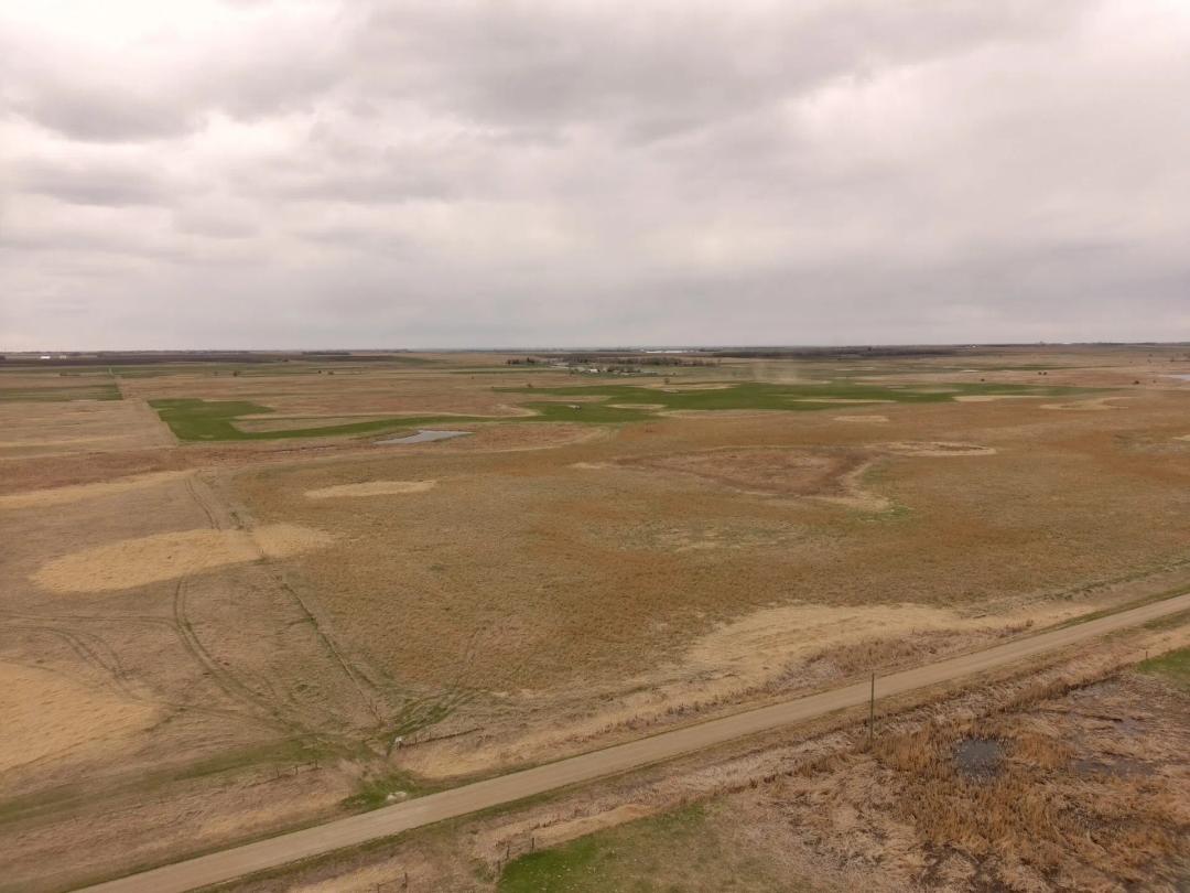 80± Acres | Brainard Township | Brown County, South Dakota