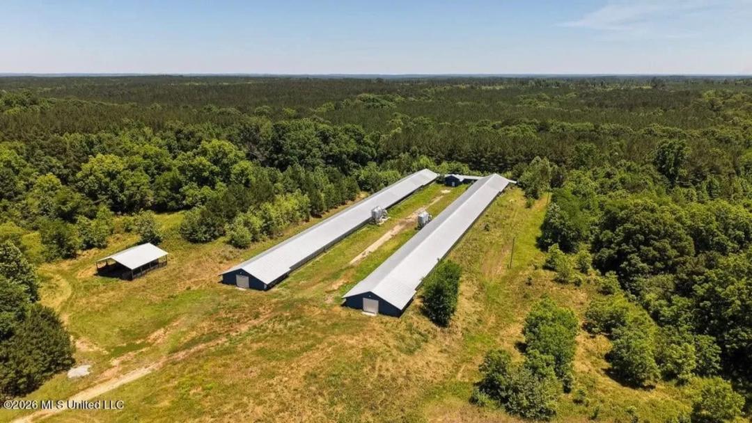 Hickory MS 2 House Breeder Poultry Farm
