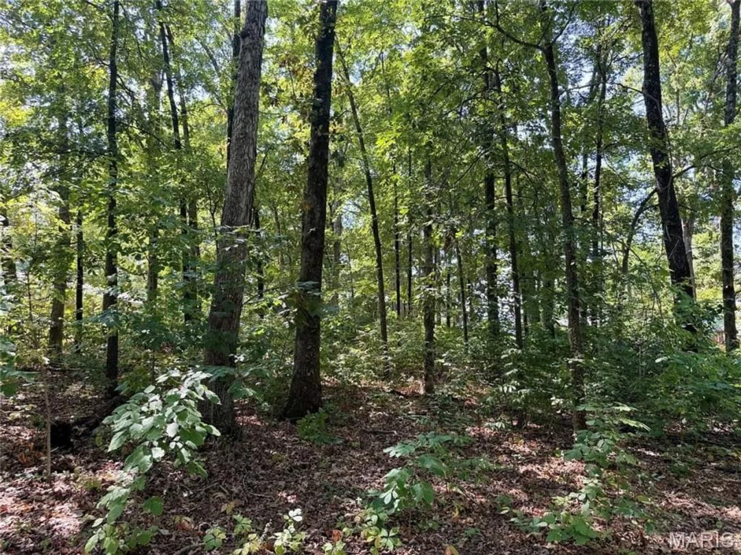 Northwood Hills Lot