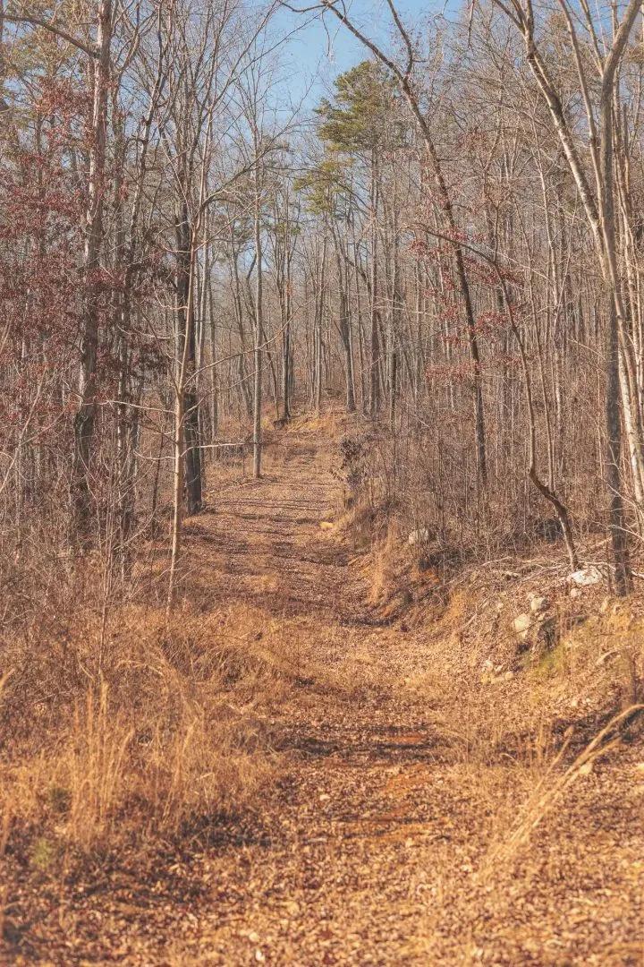 1,445 Acre Farm with 2 Homes in Bledsoe County, TN 