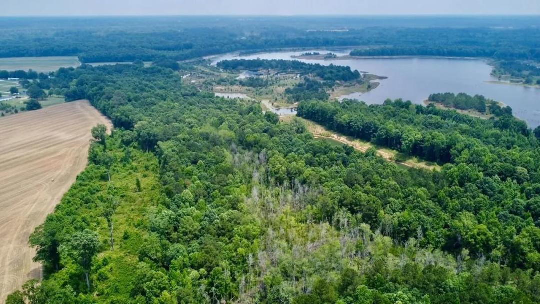 45 acres of Recreational Timberland For Sale in Harnett County NC!