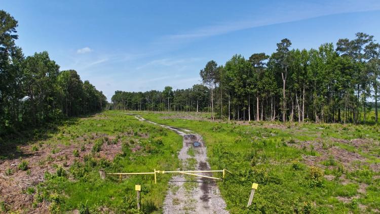 126.00 Acres at 0 Luther Brown Road