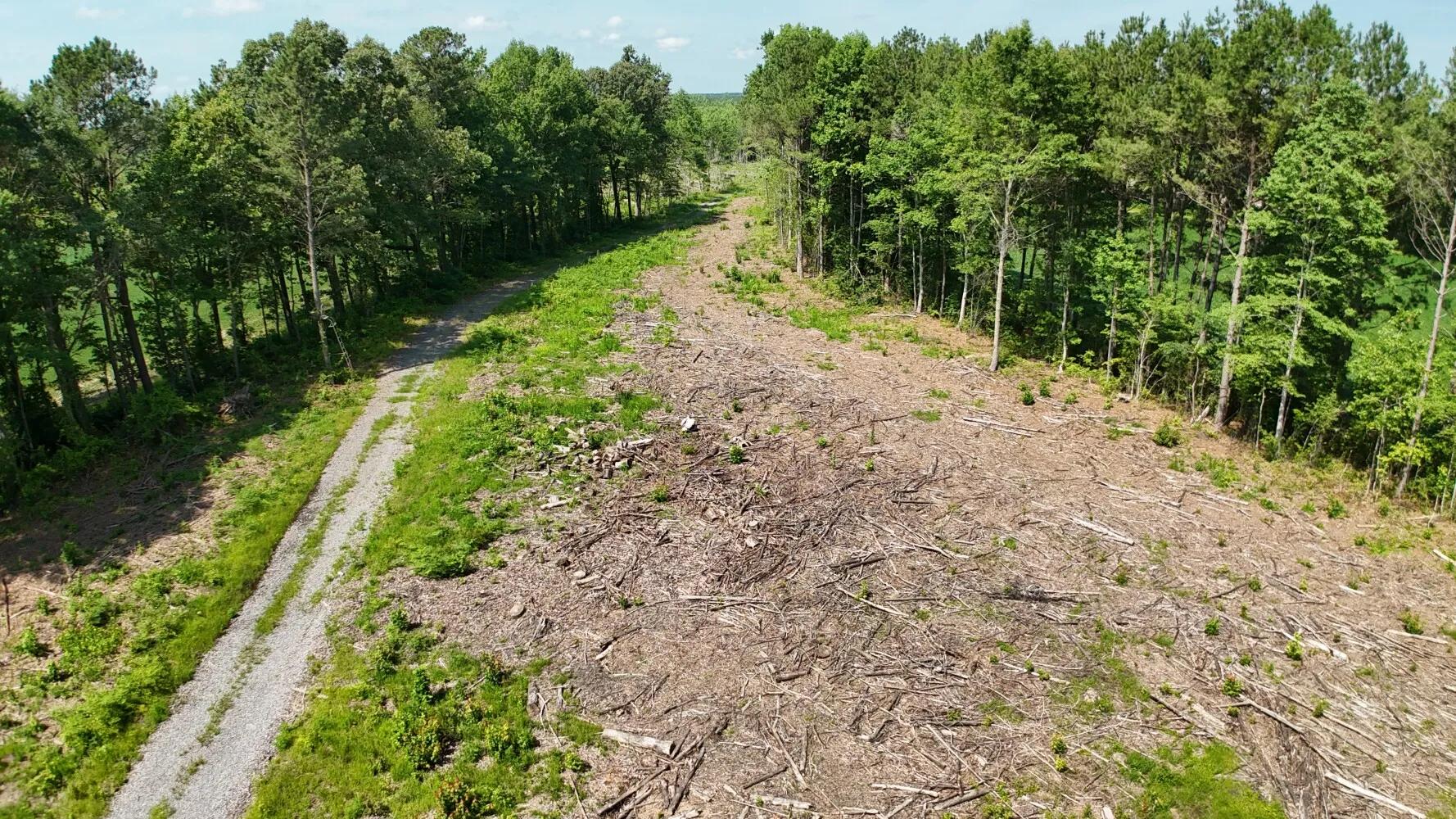 68736361-3