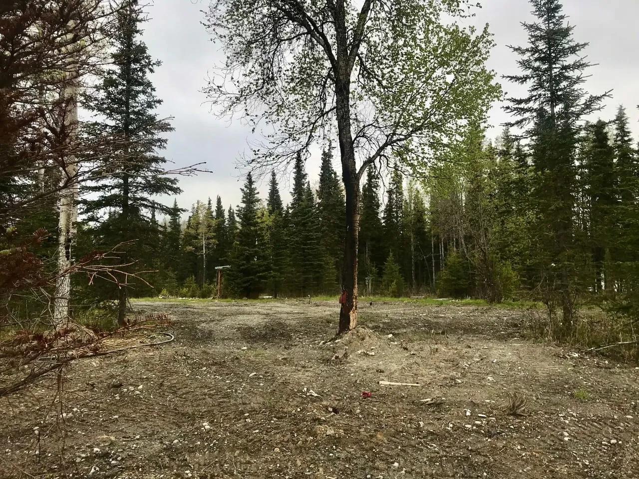68737791-4