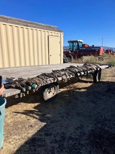 6875511-8