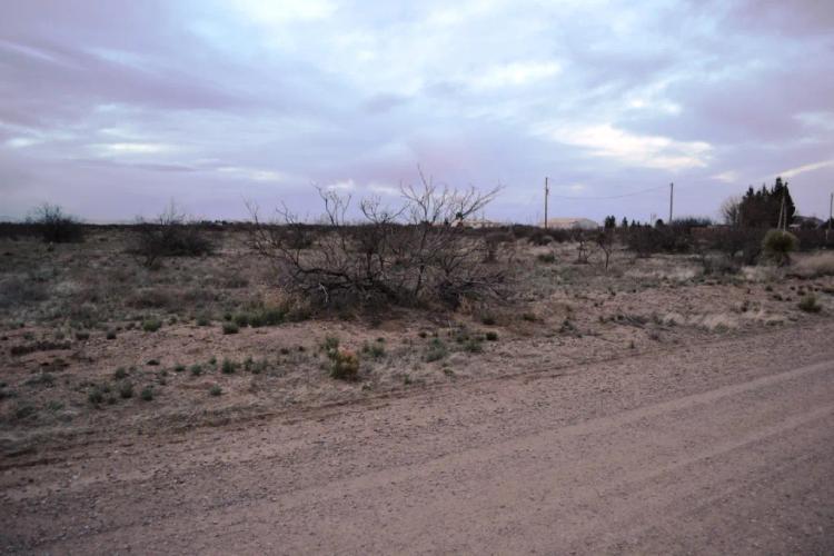 Sunny Southern New Mexico 2 full Acres with power at property line.   4 adjoining lots