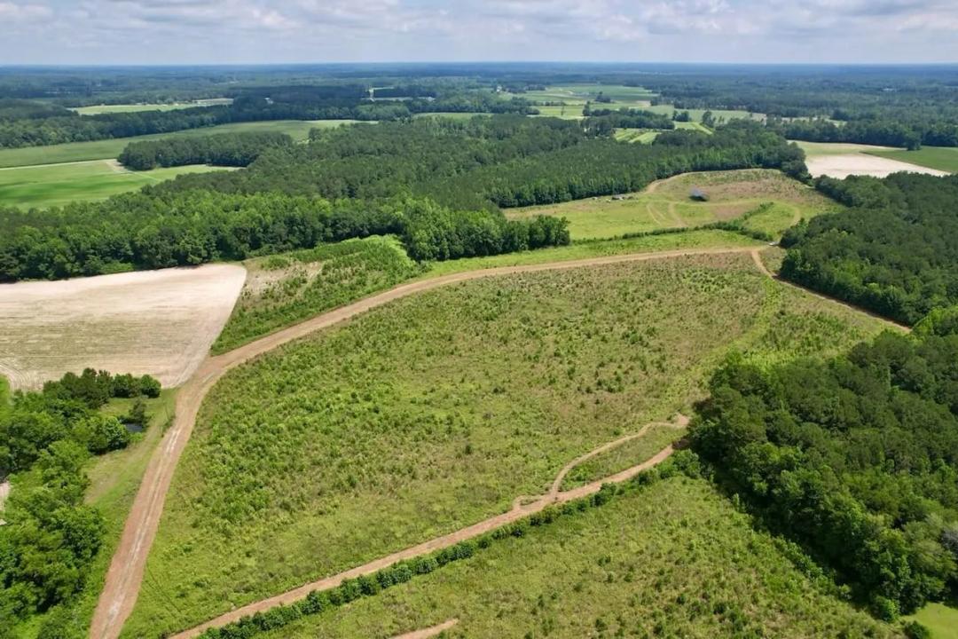68.98 acres of Residential and Recreational Land For Sale in Horry County SC!