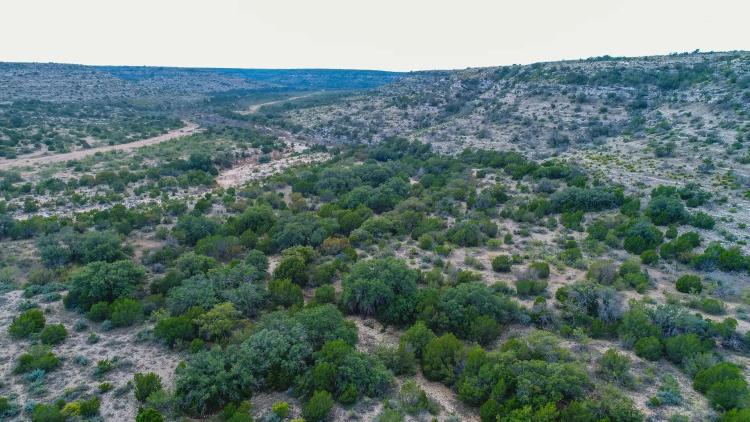 W.O. Mills Ranch