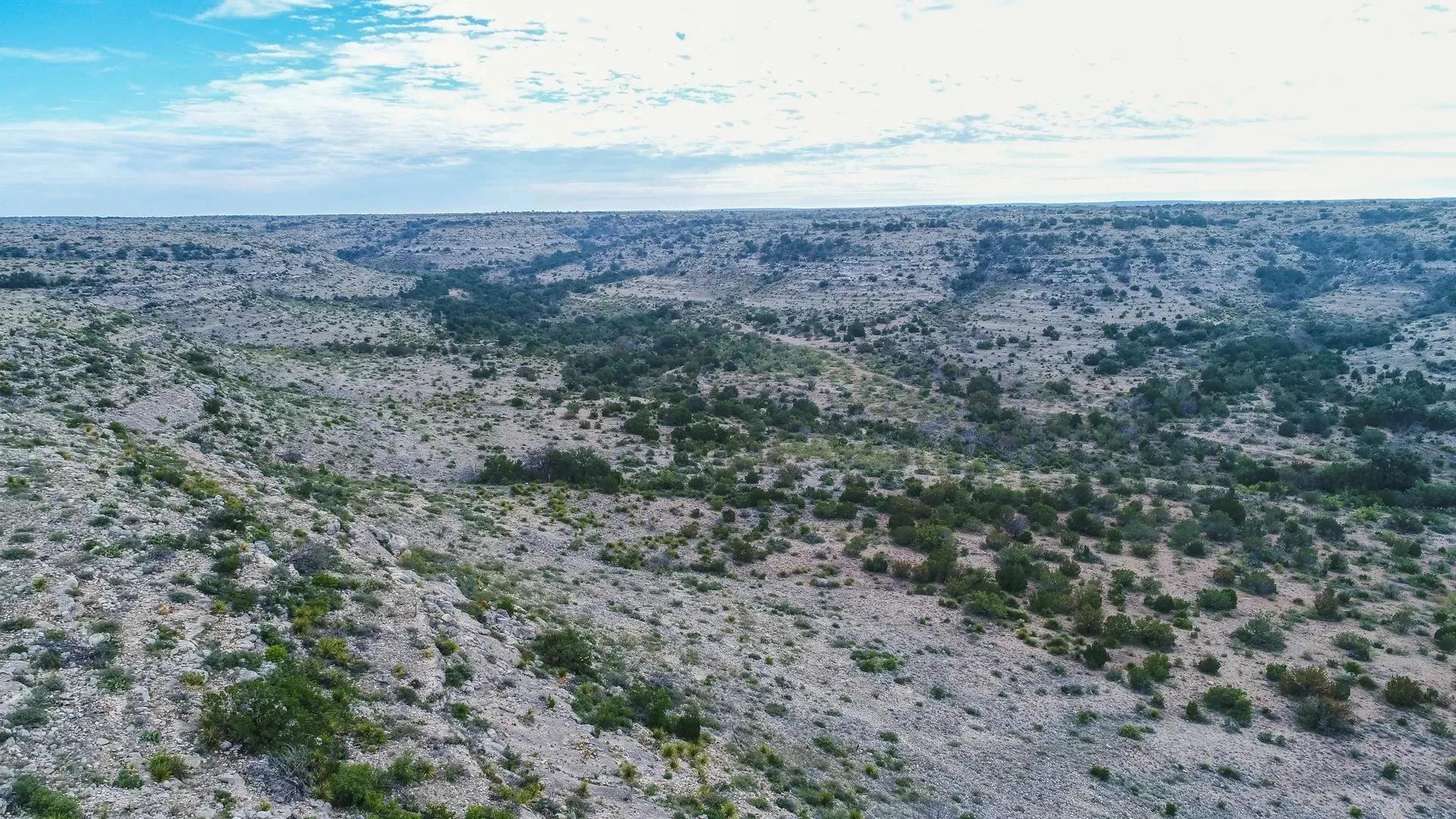 6877491-12