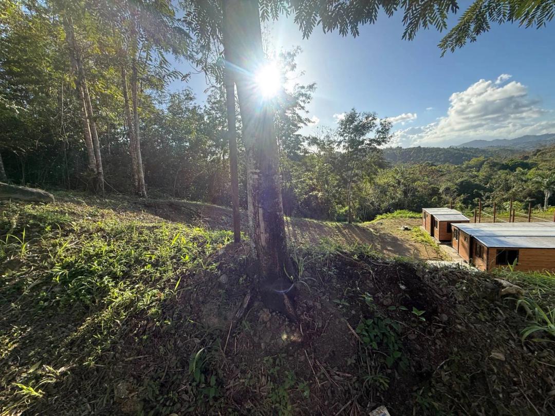 1.50 Acres at Ave. Praderas Pl Bo. Rincon Lomas