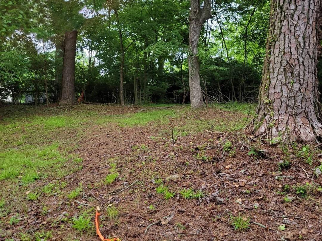 Vacant Land - LaFayette GA