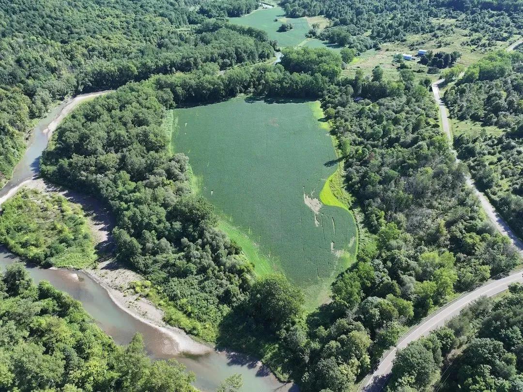 50 acres Tillable Land, Hunting Land and Building Lot in West Valley NY 6610 Thomas Corners Rd